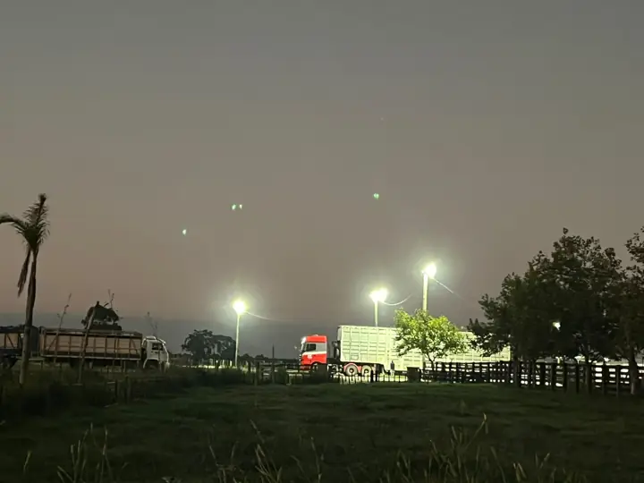 Caminhões boiadeiros iluminados à noite