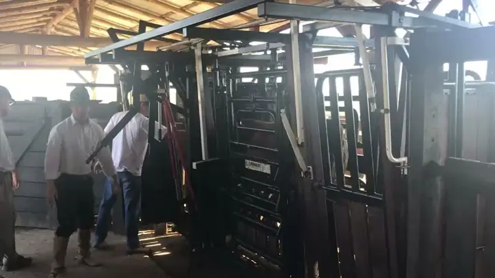 Equipe junto ao tronco de contenção